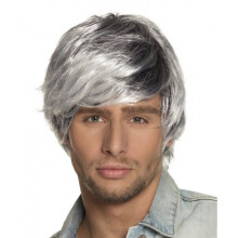 Men's graying wig