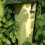 nesting box Best for Birds 18 x 41,5 cm wood natural 4