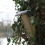 nesting box Best for Birds 18 x 41,5 cm wood natural 3