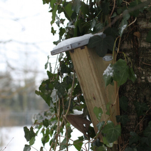 nesting box Best for Birds 18 x 41,5 cm wood natural 2
