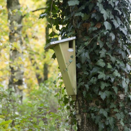 nesting box Best for Birds 18 x 41,5 cm wood natural 1