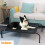 (S: 75x47x15cm) Metal Frame Dog Cot Elevated Pet Bed 9