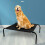 (L: 114x76x15cm) Metal Frame Dog Cot Elevated Pet Bed 10