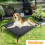 (S: 75x47x15cm) Metal Frame Dog Cot Elevated Pet Bed 10