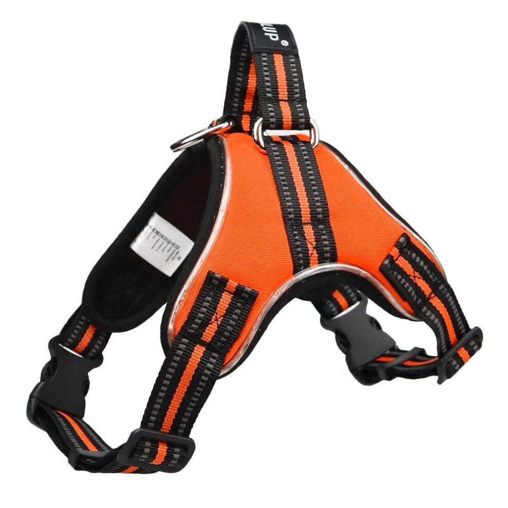 (Orange, M) Dog Harness LED Reflective Dog Vest, Breathable Mesh Fabric Safety Chest Vest