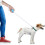(Default Title) 6.56ft Retractable Dog Leash Anti-Slip Handle Extendable for Small and Medium Pets Walking 2