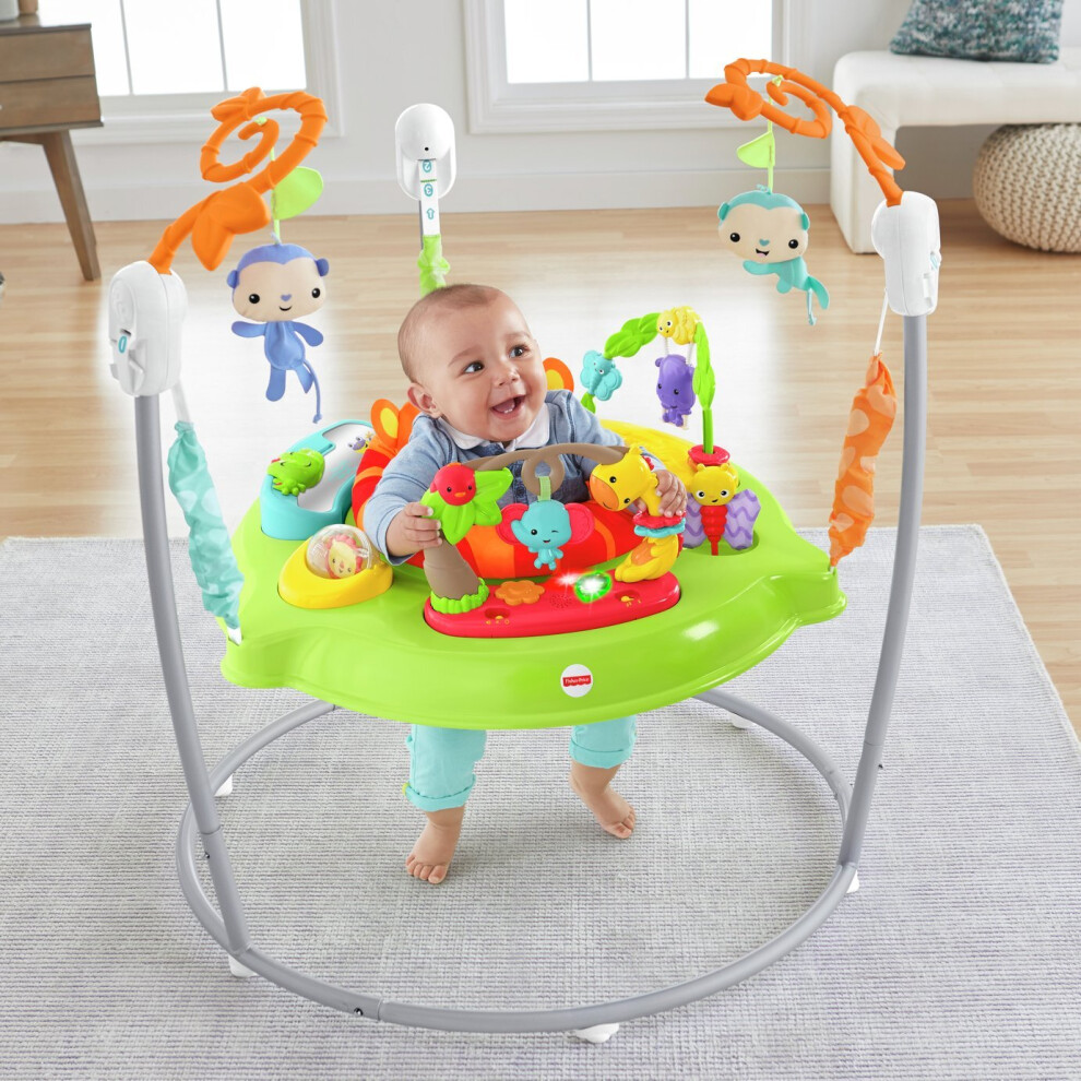 Fisher-Price Roarin' Rainforest Jumperoo