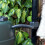 Strata Strata Water Butt with Connection Kit, Tap and Stand - 210L 4