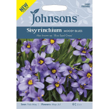 Johnsons Sisyrinchium Seeds Moody Blues Blue Eyed Flower Grass