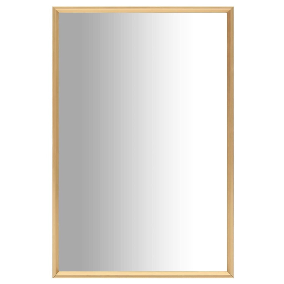 vidaXL Mirror Gold 60x40 cm Bedroom Dressing Room Mirror Indoor Furniture