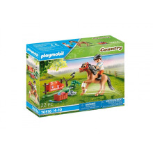 Country - Collector pony Connemara (70516)