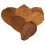 leaves Catappa M vegetable brown 15 pieces 1