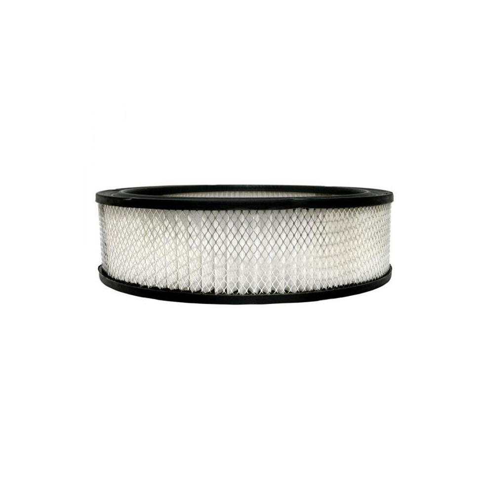 Ac Delco A348c Ac Air Filter Element For 1970-1977, 1983-1988 Chevrolet Monte Carlo 036666115093