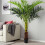 Living And Home 180CM Outdoor Large Artificial Areca Palm Tree 3
