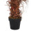 Living And Home 180CM Outdoor Large Artificial Areca Palm Tree 6