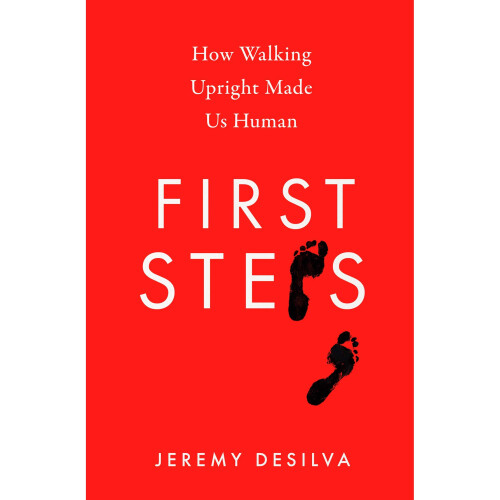 First Steps: How Walking Upright Made Us Human