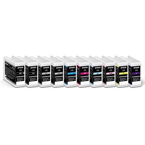 Epson Singlepack Light Gray T46S9 UltraChrome