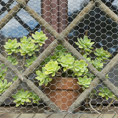 Living And Home (13mm, 0.6*5M) Galvanized Large Hexagonal Wire Mesh Fencing Aviary Net 1