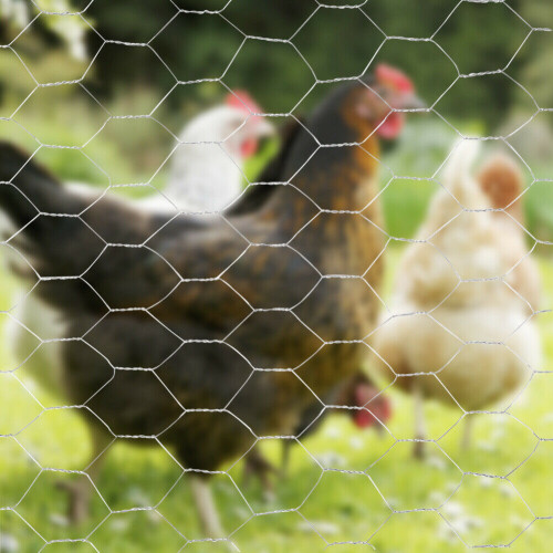 Living And Home (25mm, 0.9*5M) Galvanized Large Hexagonal Wire Mesh Fencing Aviary Net 2