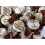 Walkers Walkers Treacle Toffees, 1 kg 1