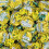 Walkers Walkers Banana Split Eclairs 250 gram bag (1/4 Kilo) 1