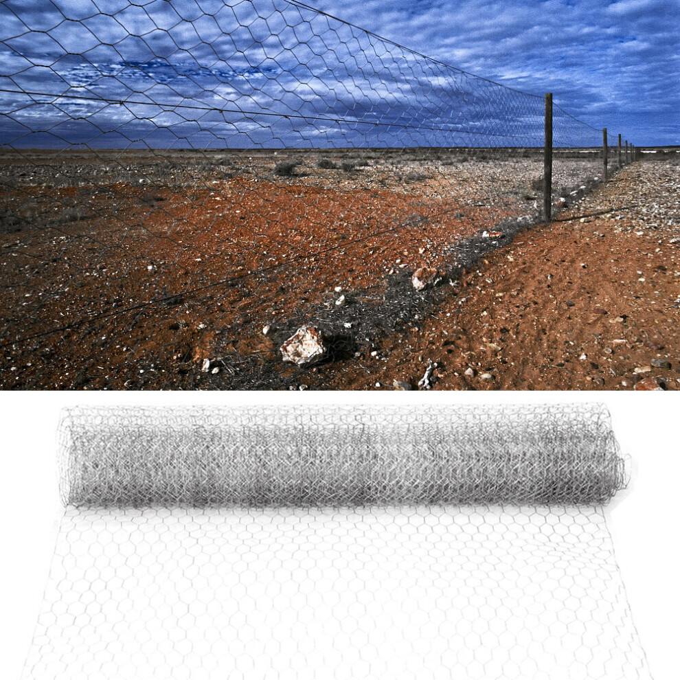 Living And Home (13Mm, 0.9*5M) Galvanized Large Hexagonal Wire Mesh Fencing Aviary Net