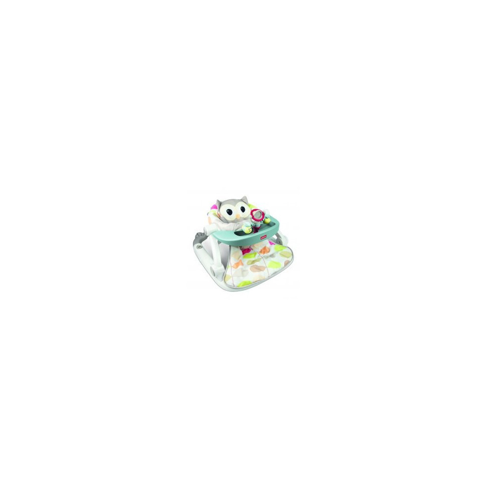 Sit-To-Walk Activity Centre-Owl Winfun