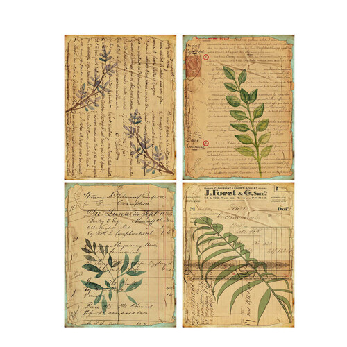 Vintage A5 Washi Stickers Botanical Receipt Wild Flower Fern Maps ...