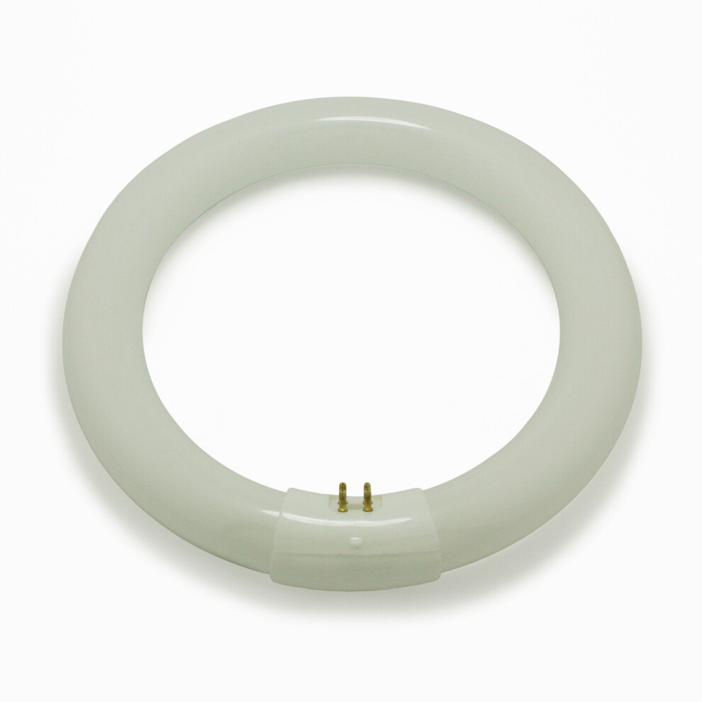 SYLVANIA 32w G10q Colour 840 Cool White 4000K Circular T9 Fluorescent Tube