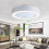 Living And Home LED Ceiling Fan Light Adjustable Wind Speed Dimmable Light with Remote Control 1