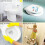 (O- shape) Family Toliet Seat Soft Close with Quick Release 12