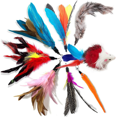 onebarleycorn - Cat Toys Feather Refills for Cat Wand Toys Interactive include Replacement Feathers