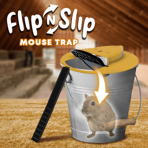 Flip N Slide Bucket Mouse Trap 2