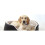 RSPCA Sensitive and Soothing Dog Shampoo 2
