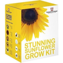 Stunning Sunflower Seed Growing Kit - Grow Your Own 5 Varieties of Contrasting Flowers in one Seed Grow Kit, A Perfect...