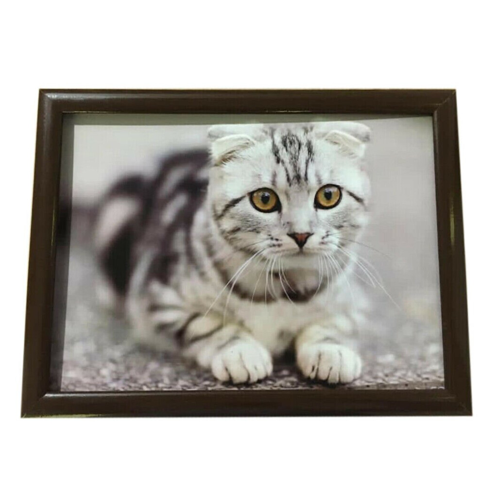 (Cute Cat) Laptray Cushion Bean Bag Lap Tray Food Serving