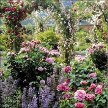 Mottisfont Abbey Greeting Card - National Trust Scenic Birthday Cards