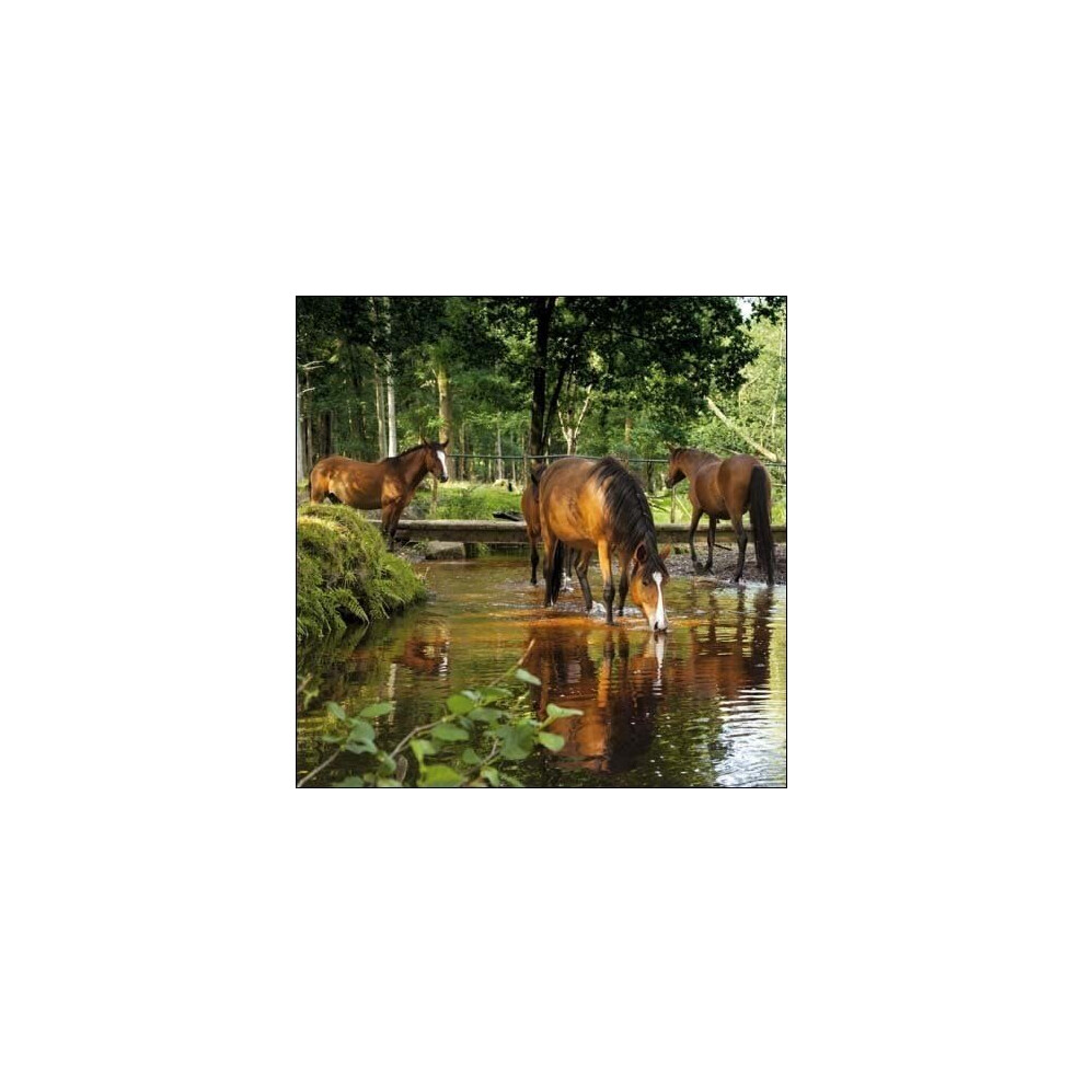 Woodmansterne National Trust Dockens Water Greeting Card