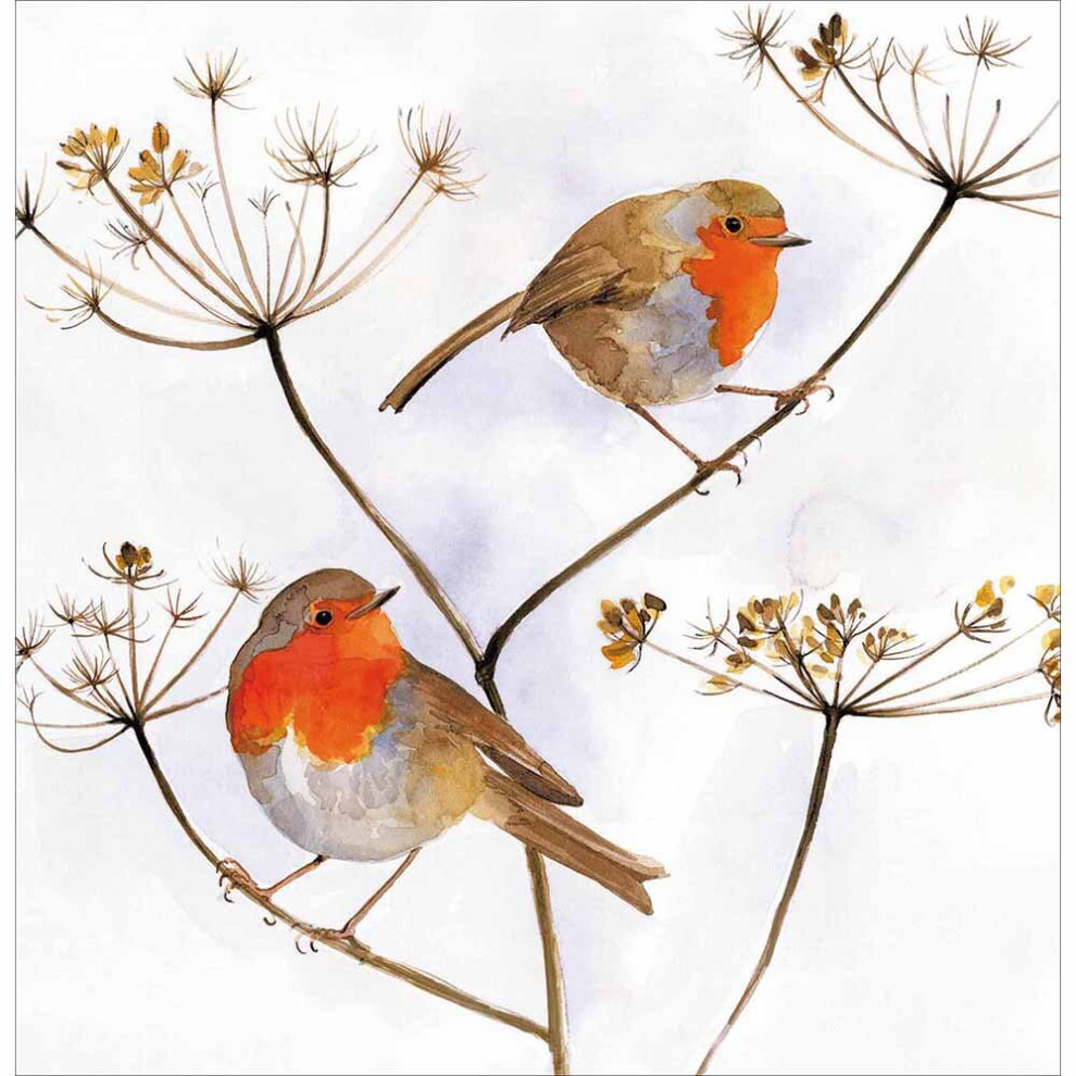 Traditional 2 Robins on Branches Christmas Card â Xmas Illustrated Greeting Card