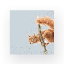 Wrendale Designs Squirrel Cocktail Napkins - 20 Acrobat Illustrated Blue Napkins