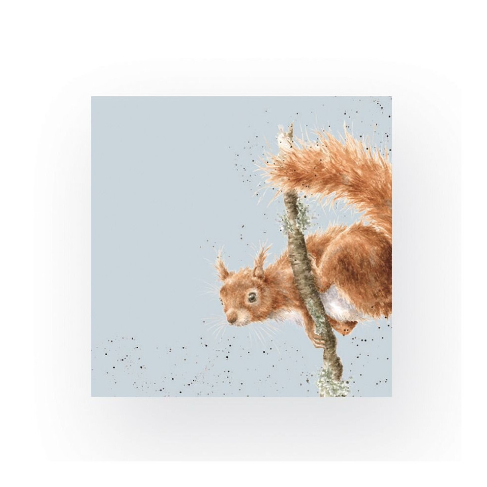 Wrendale Designs Squirrel Cocktail Napkins - 20 Acrobat Illustrated Blue Napkins