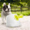 (UK) Automatic Ball Launcher For Dogs Interactive Fetch Toy Machine 3