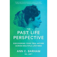 The Past Life Perspective Discovering Your True Nature Across Multiple Lifetimes