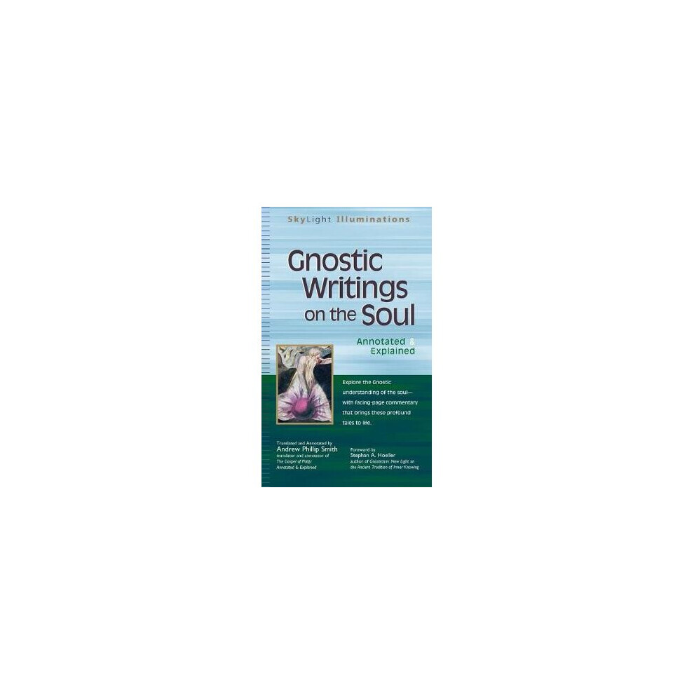 Gnostic Writings on the Soul Annotated  Explained SkyLight Illuminations