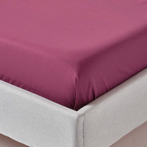 Homescapes (Double, Plum) Egyptian Cotton Flat Sheet 200 Thread Count Bed Sheet 2