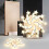 Living And Home (5 Heads-Dimming Light) Modern LED Ceiling Light White Star Chandelier 6