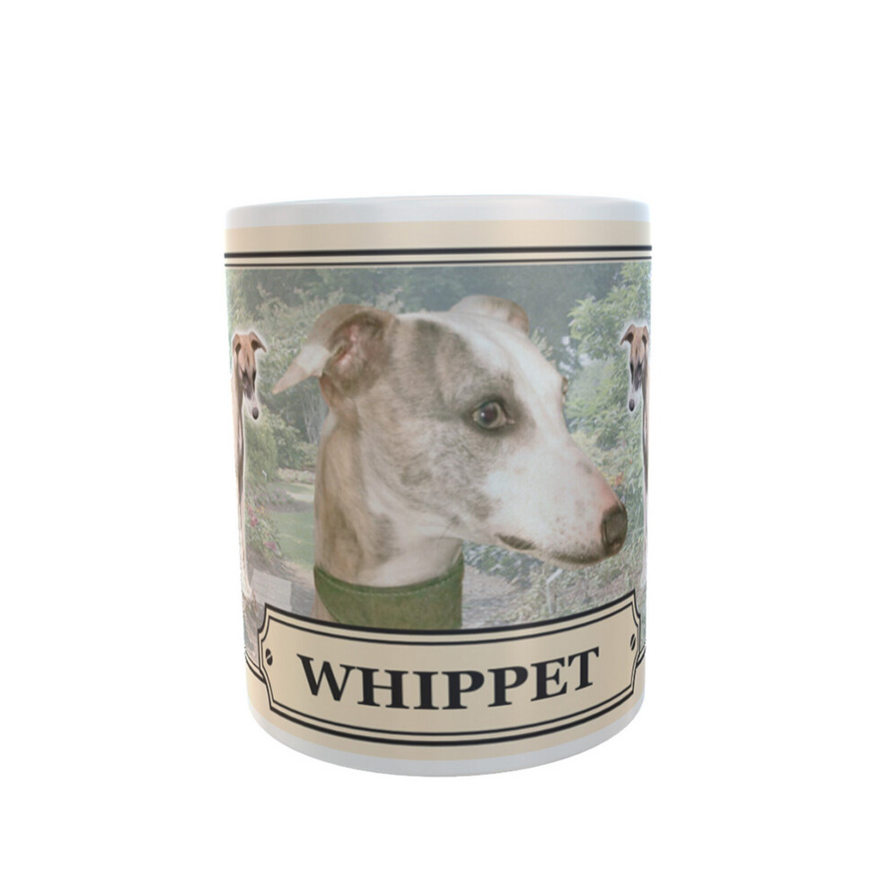 Whippet Dog Breed Ceramic Gift Mug