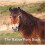 The Native Pony Book - Jane Russ - book 1