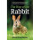 Way of the Rabbit, The 1