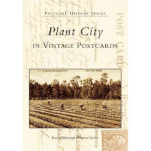 Plant City, Florida in Vintage Postcards Postcard History